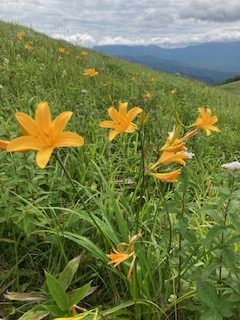 画像に alt 属性が指定されていません。ファイル名: IMG_3004-rotated.jpg