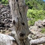 「やってよいか」ではなく「やったらどうなるか」を聞くべきである
