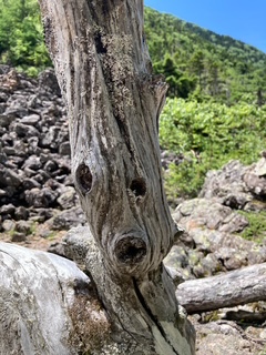 画像に alt 属性が指定されていません。ファイル名: IMG_4102-2.jpg
