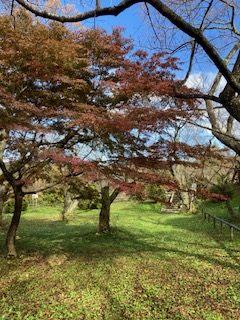 画像に alt 属性が指定されていません。ファイル名: IMG_4467-rotated.jpg