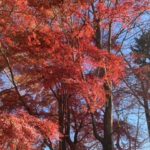 交渉に弁護士を入れるべきか否か？の相談も受け付けてます