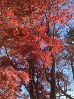 画像に alt 属性が指定されていません。ファイル名: IMG_4623.jpg