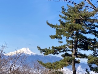 画像に alt 属性が指定されていません。ファイル名: IMG_4973.jpg