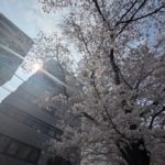 民法改正・婚姻費用および養育費について