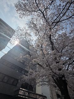 画像に alt 属性が指定されていません。ファイル名: IMG_5149-rotated.jpeg