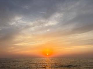 画像に alt 属性が指定されていません。ファイル名: IMG_8390.jpg